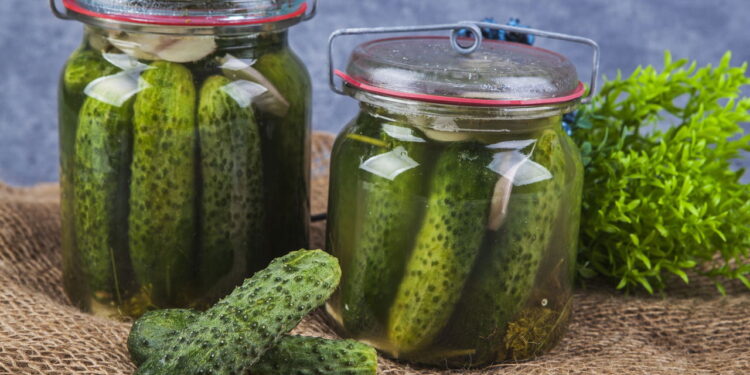 Dicas que irão manter seu pepino fresco por semanas