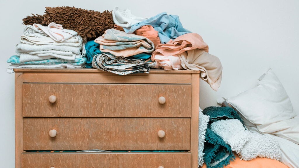 6 esconderijos que atraem escorpiões dentro de casa e exigem cautela