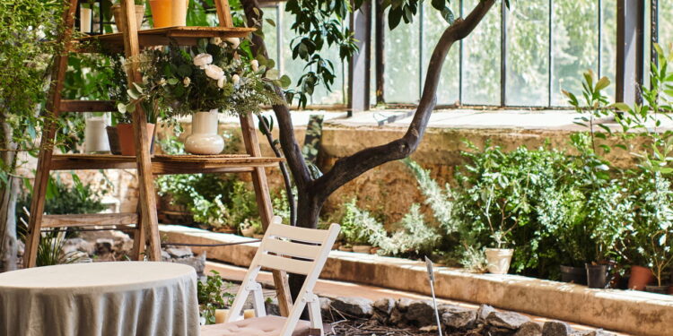 3 plantas arredondadas para harmonia visual e conforto emocional