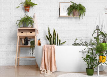 As 3 plantas que inovam banheiros com frescor natural e design minimalista