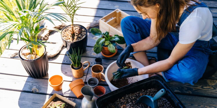 Compatibilidade de signos com plantas que fortalecem vínculos