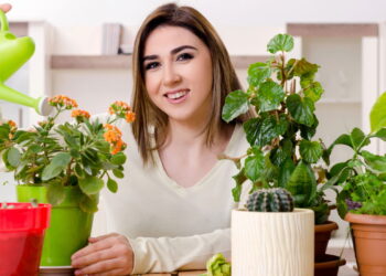 4 plantas com flores delicadas que criam um toque romântico na decoração