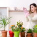3 plantas versáteis que se adaptam a diferentes iluminações para flexibilidade no dia a dia