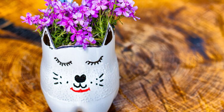 Frutas que crescem até em garrafa PET de forma simples