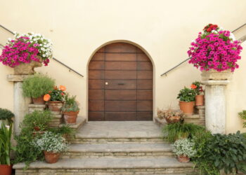 Melhores plantas em escadas para criar transições suaves