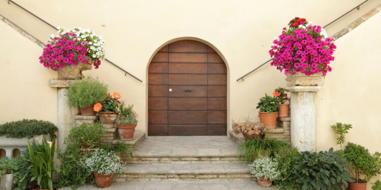 Melhores plantas em escadas para criar transições suaves