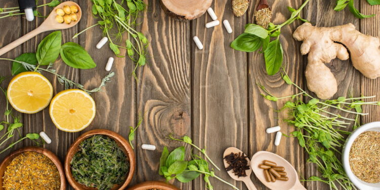 As 4 plantas que ajudam na concentração e reduzem a fadiga mental