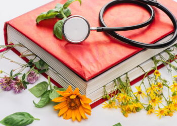 Essas 3 plantas medicinais têm efeitos reais na sua saúde física