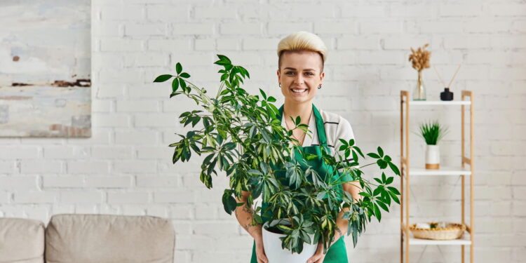 Essas plantas atraem autoconfiança radiante e brilho pessoal inabalável