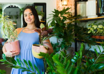 3 plantas com folhas coloridas que adicionam um toque de alegria e sofisticação