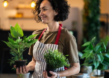 4 plantas resilientes à sombra que revigoram cantos esquecidos