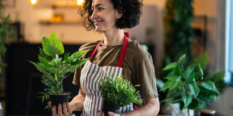 4 plantas resilientes à sombra que revigoram cantos esquecidos