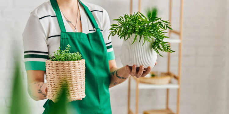Plantas que tecem um casulo de autoconfiança e radiância interior