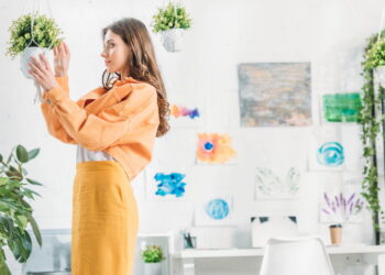 As plantas mais resistentes para ter beleza e praticidade em casa