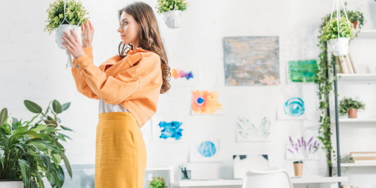 As plantas mais resistentes para ter beleza e praticidade em casa