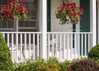 Como plantas suspensas podem decorar e melhor o ambiente