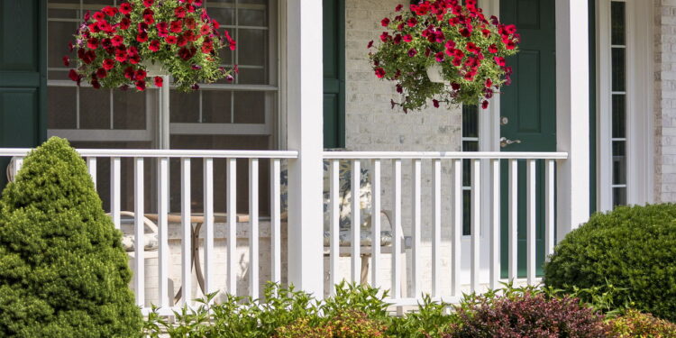 Como plantas suspensas podem decorar e melhor o ambiente