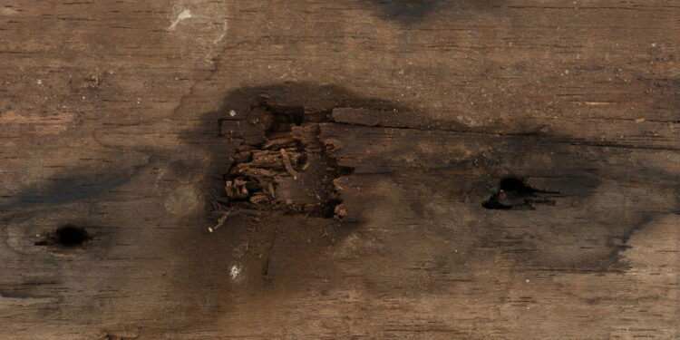 Sinais de pragas nos móveis que você pode estar ignorando