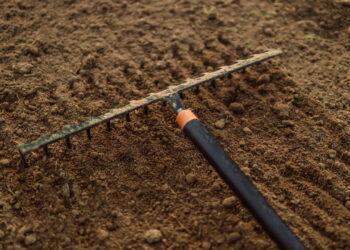 Como saber se o solo está pronto para plantar sem erro e melhor produção