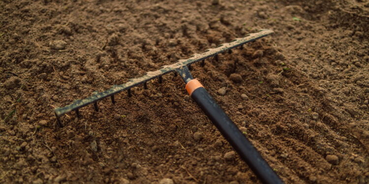 Como saber se o solo está pronto para plantar sem erro e melhor produção