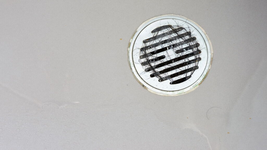 O erro comum que transforma seu banheiro em um ímã para baratas