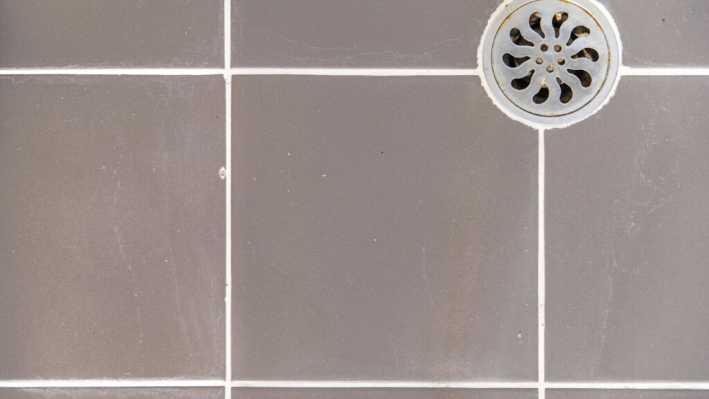 5 soluções caseiras para espantar baratas do banheiro