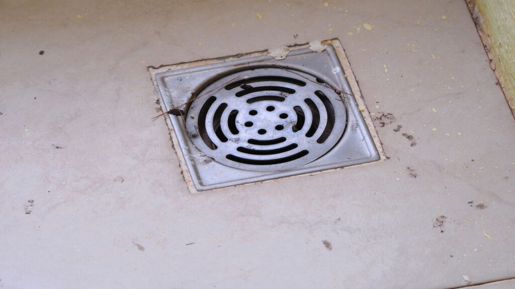 Por que as moscas do banheiro são um sinal de alerta?