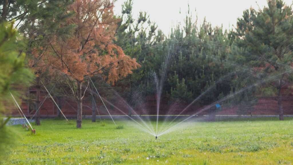 Seu jardim pode ser produtivo com princípios da permacultura