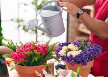 Nem regador, nem mangueira: o jeito mais prático de manter suas plantas hidratadas