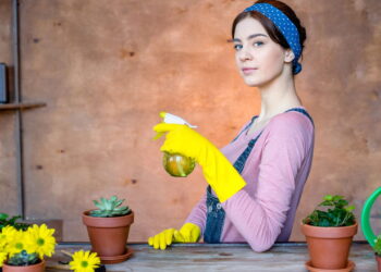 Essas plantas quase não precisam de rega e duram muito tempo