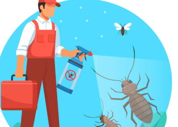 Como fazer um repelente caseiro sem toxinas