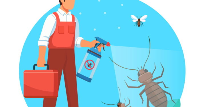 Como fazer um repelente caseiro sem toxinas