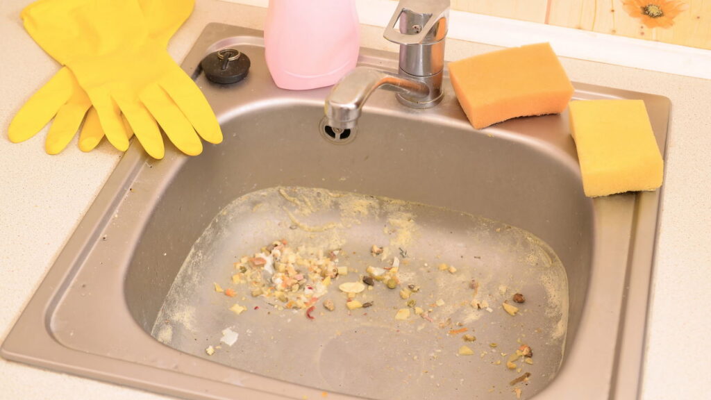 O que nunca deixar na pia para evitar insetos
