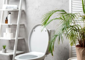 Nem desinfetante, nem odorizador: truque natural que perfuma o banheiro