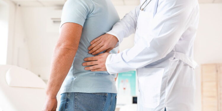 3 ervas que desintoxicam os rins e melhoram a filtragem