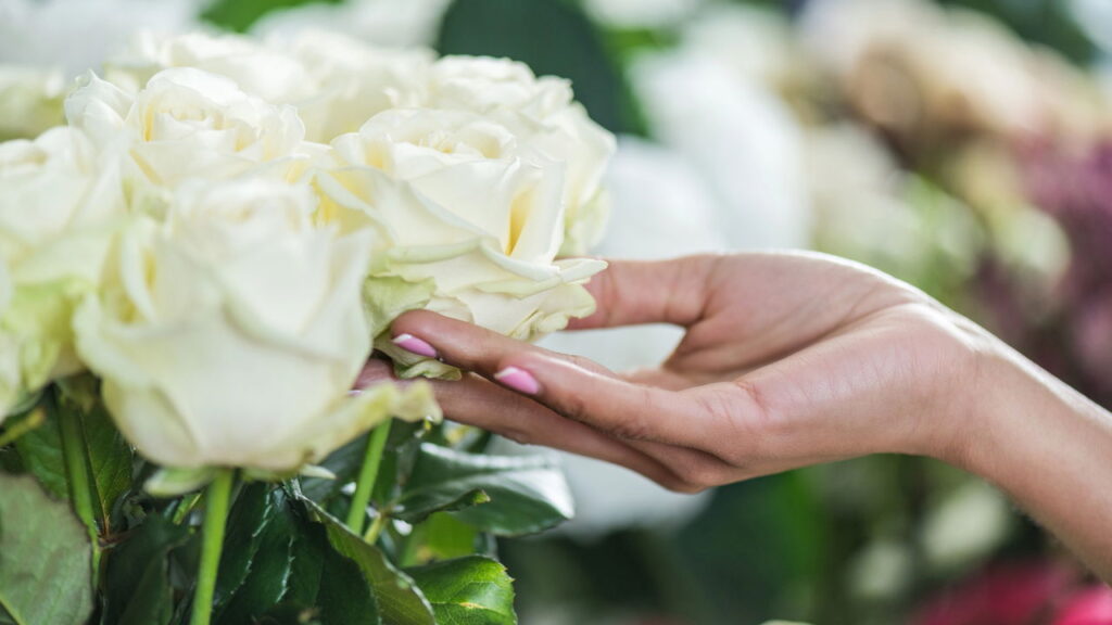 Como as cores das rosas podem influenciar positivamente cada signo