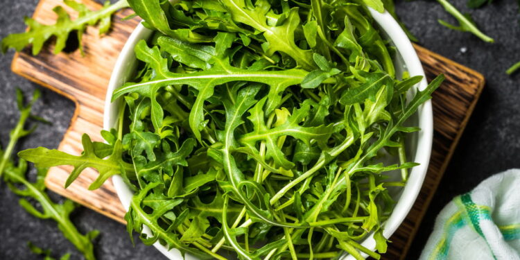 Dicas para guardar rúcula e mantê-la fresca por mais tempo