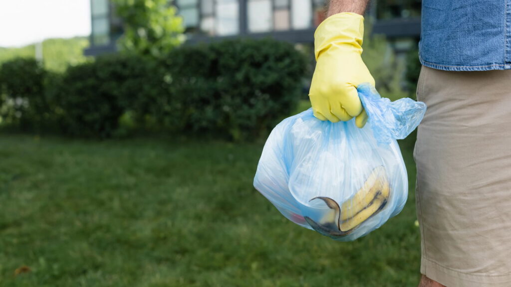 O melhor jeito de acabar com moscas na lixeira da cozinha