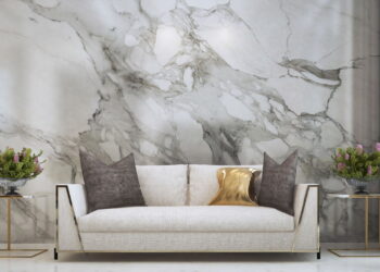 Essa plantas afastam pragas escondidas nos móveis