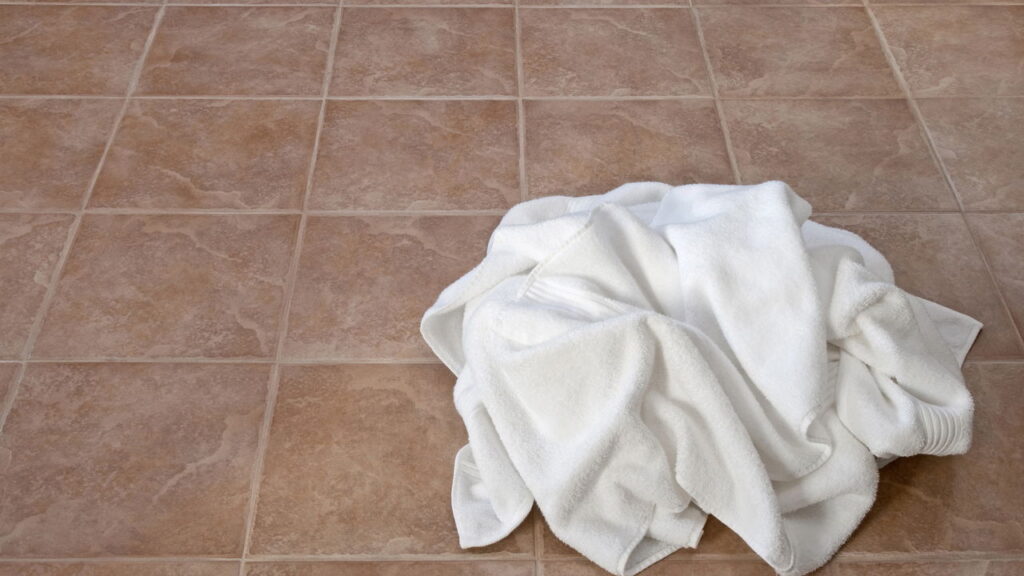 Como evitar que a umidade do banheiro atraia pragas