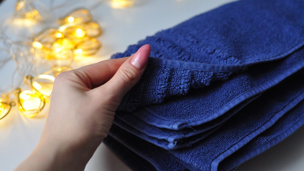 Como se livrar das traças que atacam toalhas no banheiro