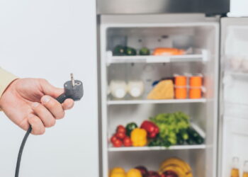 É isso que acontece se você desligar a geladeira à noite para economizar energia