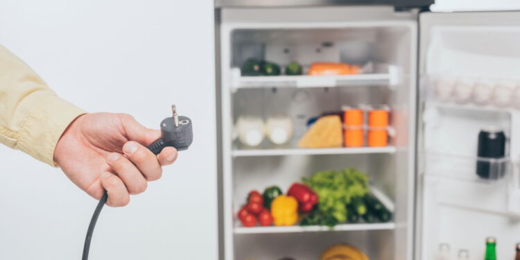 É isso que acontece se você desligar a geladeira à noite para economizar energia