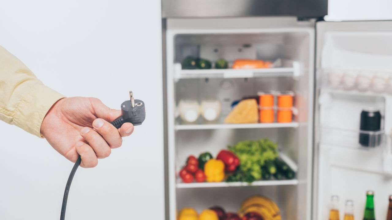 É isso que acontece se você desligar a geladeira à noite para economizar energia