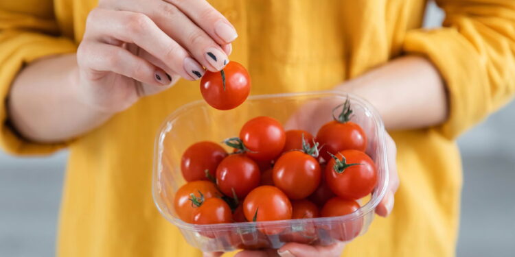 Dicas para conservar tomates por mais tempo sem perder o frescor