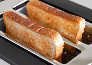 Como higienizar a torradeira e afastar insetos naturalmente