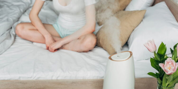 As 3 plantas mais eficazes para fortalecer sua imunidade naturalmente