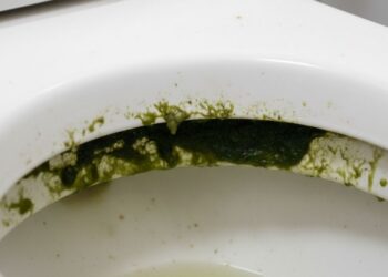 O truque simples que está sumindo com o limo do vaso sanitário