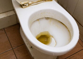 Apenas uma colher desse ingrediente antes de dormir e seu vaso amanhece brilhando