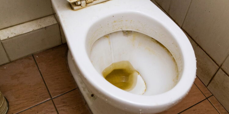 Apenas uma colher desse ingrediente antes de dormir e seu vaso amanhece brilhando